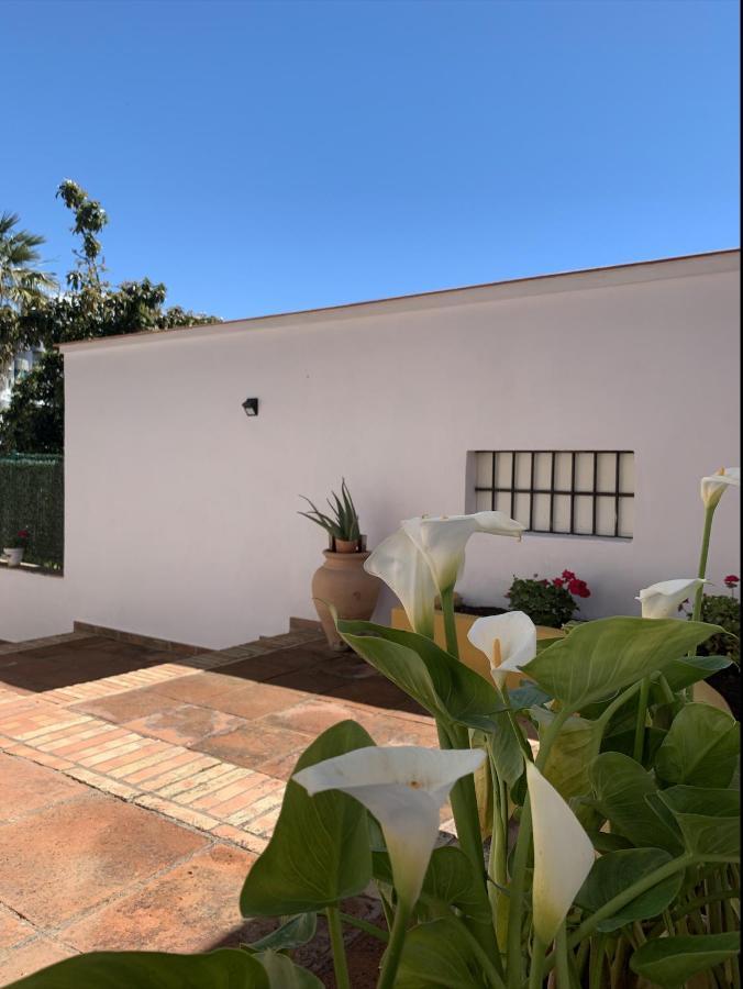 Apartamento A Estrenar Preciosa Suite-céntrico-con Jardín Y Porche